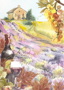 Bottles and leaves of grapes. Background with a lavender field. Watercolor illustration for postcards, scrabbuking. Hand drawn watercolor illustration. Banners of wine vintage background.