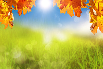 Naklejka na ściany i meble Autumn leaves with blurred green and blue nature background
