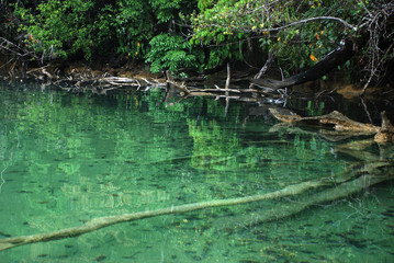 Landscape in Chiapas in Mexico