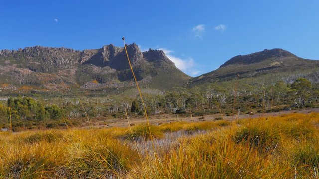 a slider shot of mt ossa and buttongrass plants on the overland track in cradle mountain national park, australia
