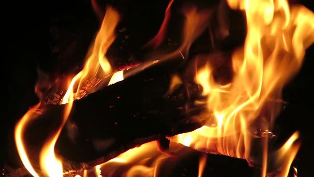 Fuego / Troncos de &aacute;rboles ardiendo