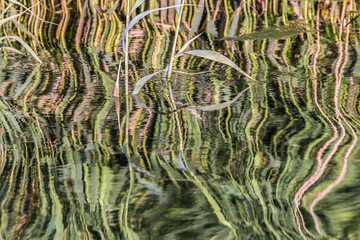 reflections and textures in the river
