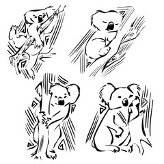 Vector animal icons - logos with koala - illustrations, stickers with emotions - laziness, drowsiness, reverie, stealth