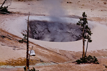Yellowstone Nationalpark, USA