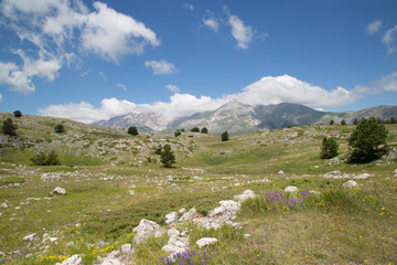 Gran Sasso d'Italia, Monte Camicia, Cima Delle Veticole, vista da sudovest 
