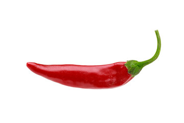 one ripe red hot spicy chili pepper