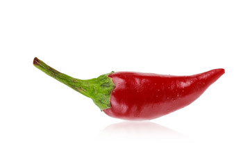 one ripe red hot spicy chili pepper