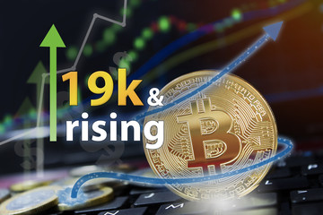 Bitcoin exchange seeing rising values of cryptocurrency and increased profits for investors.