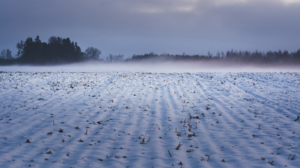First snow in countryside. Fields covered in fog, icy roads and snow covered trees.