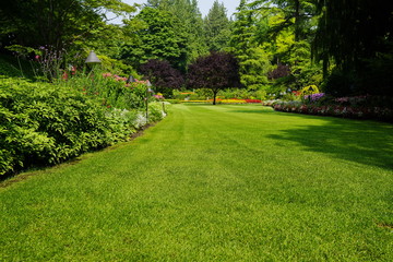 Fototapeta na wymiar Beautiful trees and green grass in garden.