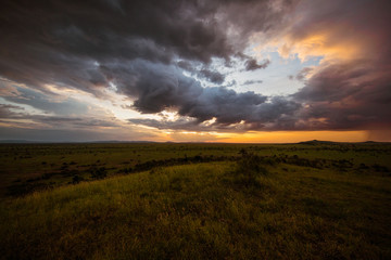 Obraz na płótnie Canvas Serengeti Nights 3