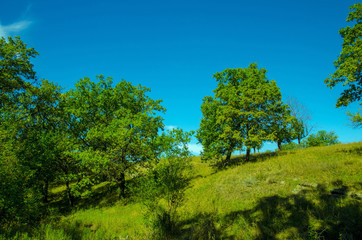 Obraz premium Countryside site of nature.