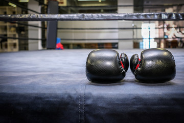 Naklejka na ściany i meble black boxing gloves