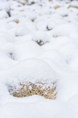 Fresh snowfall on a field of rocks, as a background
