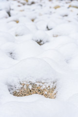 Fresh snowfall on a field of rocks, as a background
