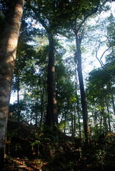 Fototapeta premium Piedras negras in Chiapas