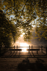 Sunrise Rombergpark