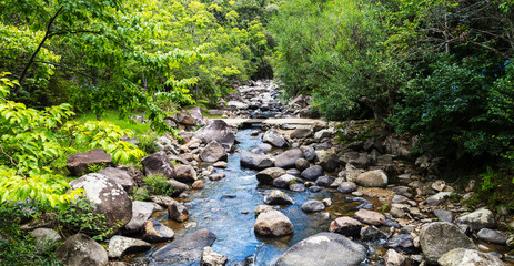 Rio com pedras cortando a floresta.