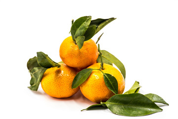 tangerines or mandarines isolated on white background