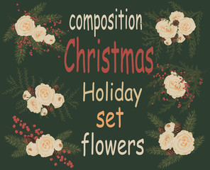 Christmas floral elements. Festive winter kit peony flowers, spruce branches, cones, berries and leaves. Decorative patterned bouquets for Christmas gifts, cards, posters, wrapping paper. Vector