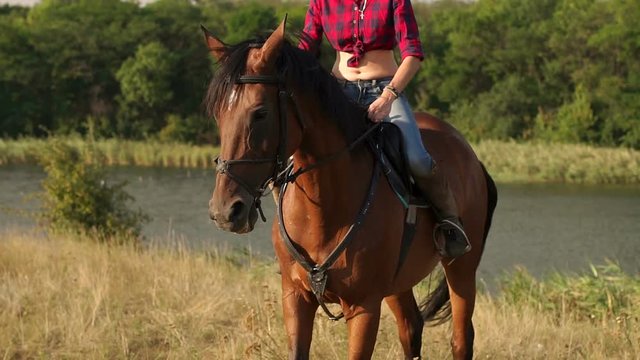 Close-up of a sexy girl in jeans and short shirt sitting astride a beautiful brown horse at sunset.