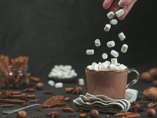 Marshmallows valt uit de hand in glazen mok met warme chocolademelk cacaodrank. Ruimte kopiëren. Winter eten en drinken concept. Vliegende heemst. Donkere achtergrond. Laagdrempelig.