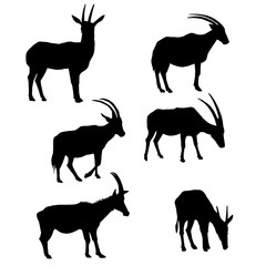 vector set of antelopes