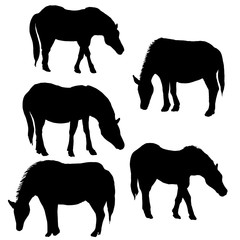 vector set of horses