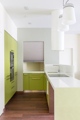 Interior of stylish glossy cuisine in light green tones