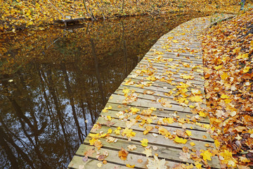 Fototapeta premium Wooden pier and the water surface with maple yellow leaves in perspective.