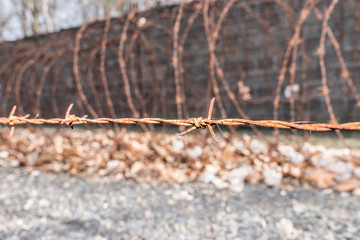 eingesperrt- Stacheldrahtzaun mit Laub vor einer hohen Mauer