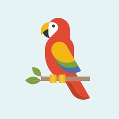 Macaw parrot vector, parrots, bird vector icon in flat style