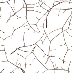 seamless background from small bare tree branches