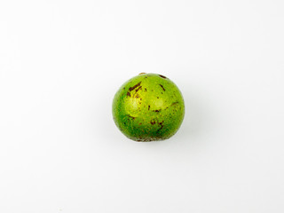 Peterson Avocado isolated on white background