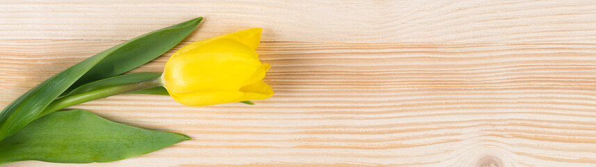 beautiful yellow flower on a long light wooden board