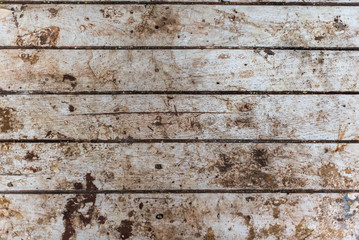 Old wood texture