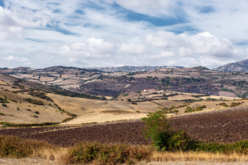 Fototapeta na wymiar Sardinien Feld Wiese Natur