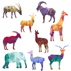 polygonal silhouettes of animals