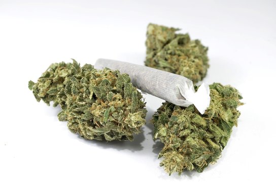 Green marijuana buds with joint laying on white background