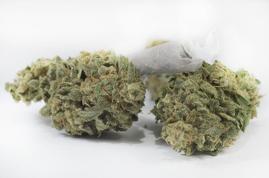 Green marijuana buds with joint laying on white background
