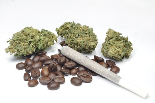 Medical weed on white background with coffee beans and joint