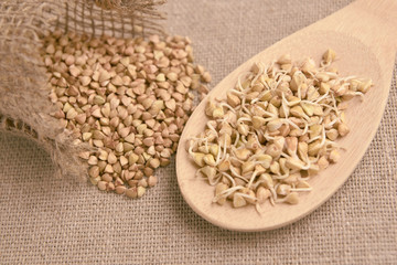 Wooden spoon. Groats. Buckwheat sprouts. Brown background