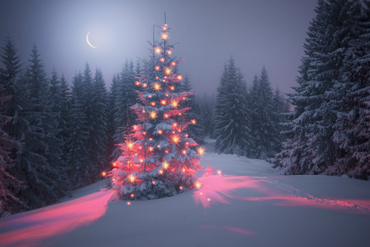 Magic tree on Christmas