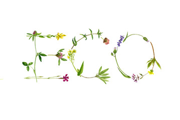 the word eco from flowers and plants