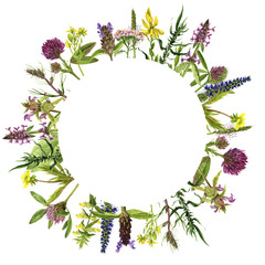 watercolor drawing flowers and plants