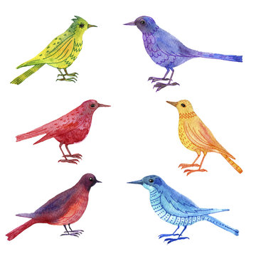 watercolor drawing birds