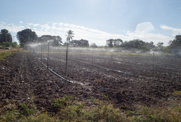Sprinkler irrigation Watering in the evening