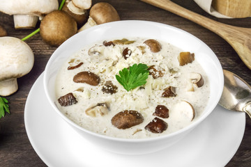 Mushroom soup with champignons, cremini, and parsley closeup