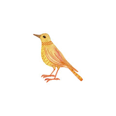 watercolor drawing bird
