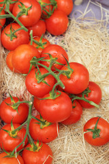 Tomatoes in the market